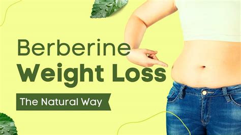 can berberine help in weight loss.